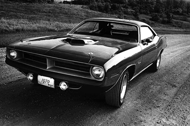 Muscle Cars Wallpapers   MuscleDrive