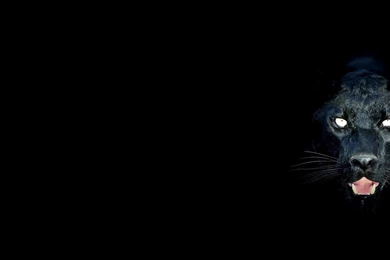 Desktop Black Earth Wallpapers Wallpapers