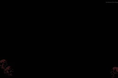 Plain Black Skull Wallpapers From Skulls Wallpapers