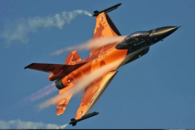 F 16 Demo Bird   (