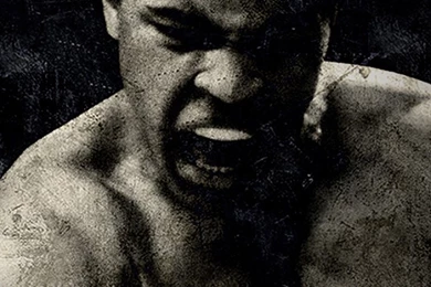 iPhone 6 Muhammad Ali Wallpapers HD, Desktop Backgrounds 750x1334