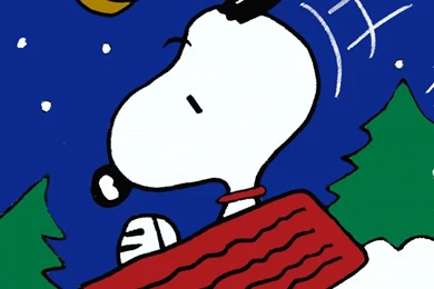 SNOOPY SLEDDING Flag: Snoopn4pnuts.com