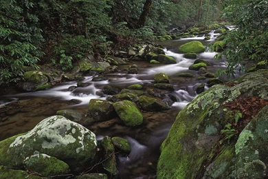 Great Smoky Mountains National Park