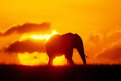 Wallpapers For Monitor 4 3 Almost Square Awesome Hi Quality