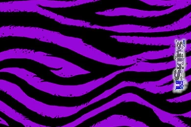 Purple Zebra Backgrounds