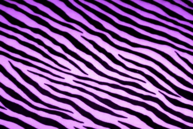 Zebra Stripe Backgrounds   Pixbim.com