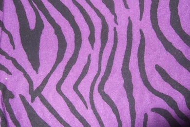 Purple Zebra Backgrounds