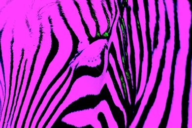 Exyfeqot：So netブログ