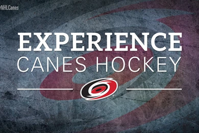 2014 15 Wallpapers   Carolina Hurricanes   Multimedia