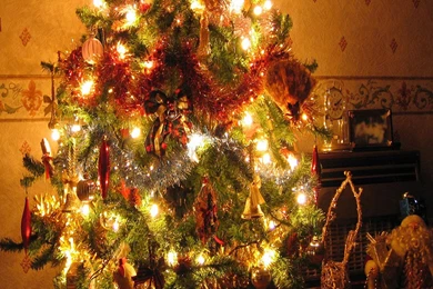 Crazy Frankenstein   Christmas Tree Wallpapers Page 2