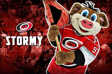 RePin Image: Carolina Hurricanes Images On Pinterest