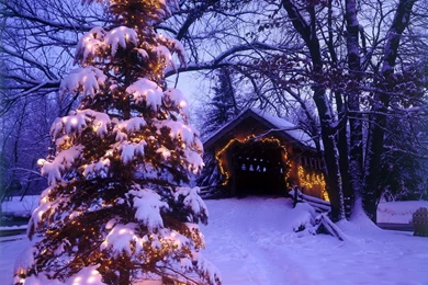 Holiday Home   Christmas Wallpapers (2735358)   Fanpop