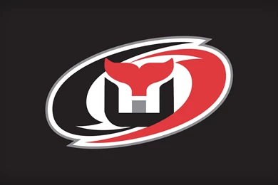 BarDown: Some Of These NHL Team Logo Mashups Are Better Than The ...