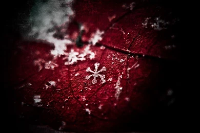 12 Best Latest New Love Wallpapers