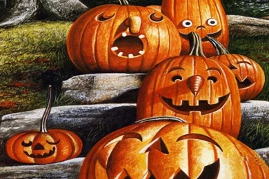 Funny Halloween Wallpapers   6840   The Wondrous Pics