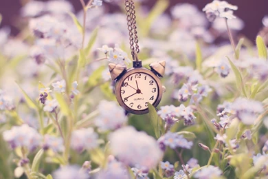 Vintage Alarm Clock Wallpapers