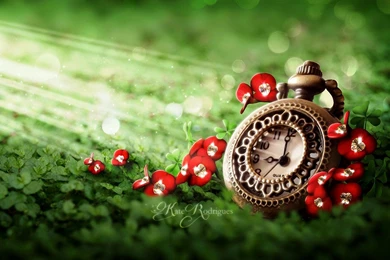 VINTAGE CLOCK WALLPAPER   (