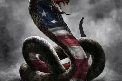 Don't Tread On Me Flag