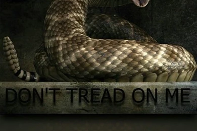 Pin By Amanda Schrader On Something To Make You Smile ...