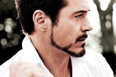 Robert Downey Jr Photos