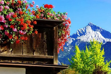 VACATION IN BAVARIA WALLPAPER   (