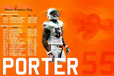 Fins FTW! Miami Dolphins Blog: FREE Miami Dolphins Wallpaper: Joey ...