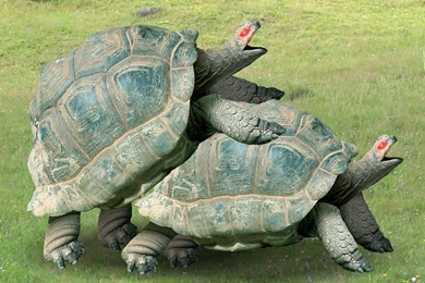 Dick Figures Wallpapers 1024x768 Dick Figures Wallpapers ...