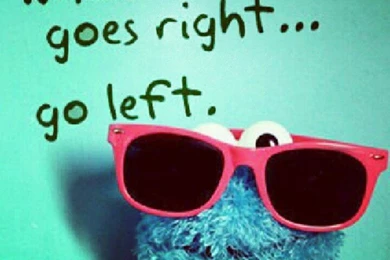 Cookie Monster Wallpapers High Definition Pictures   Fullwidehd.com