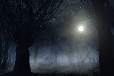 Spooky Forest Backgrounds By Indigodeep On DeviantArt