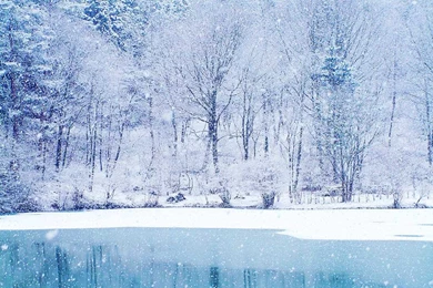 Winter Wallpapers Desktop