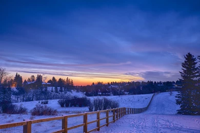 Snow Landscape Winter Wallpapers For Desktop 4K Resolution
