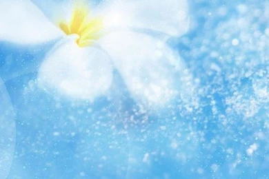 Beautiful Live Wallpapers   Android Apps On Google Play