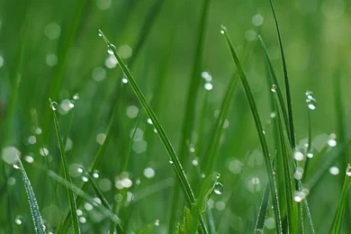 Beautiful Live Wallpapers   Android Apps On Google Play