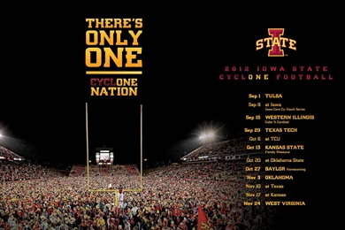 Football Backgrounds / Wallpapers (large Image)