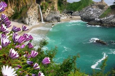 Flowers For Flower Lovers.: Flowers Sceneries Wallpapers.