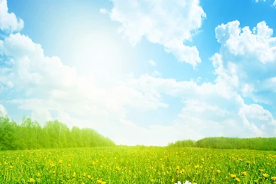 Flowers And Scenery 30547   Rural Scenery   Landscape Scenery