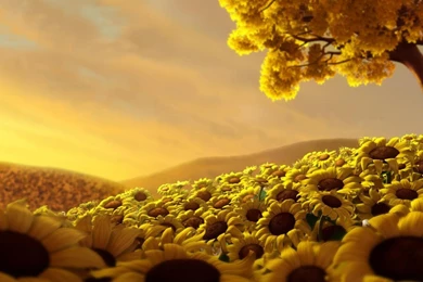 Beautiful Nature HD Wallpapers Collection 2014