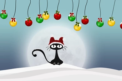 Festive Cat Wallpapers And Images   Wallpapers, Pictures, Photos