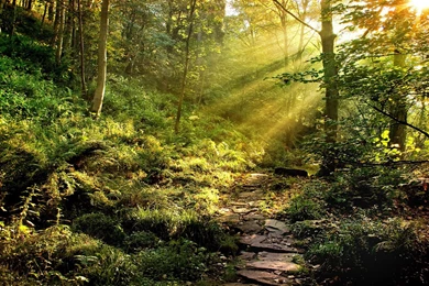 Arizona Desktop HD Wallpapers 6434 HD Wallpapers Site