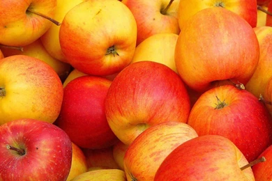 Apple Fruits Hd Wallpapers   Free Hd Wallpapers