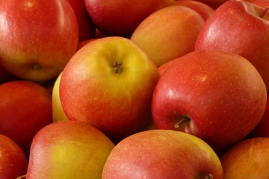 HD Apple Fruits Wallpapers Downloads