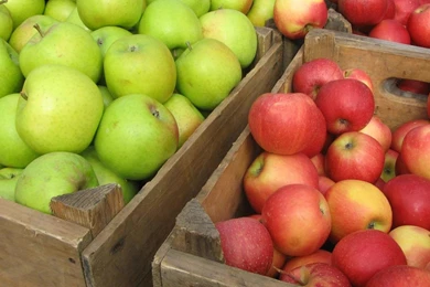 Desktop Apple Fruit Wallpapers Download