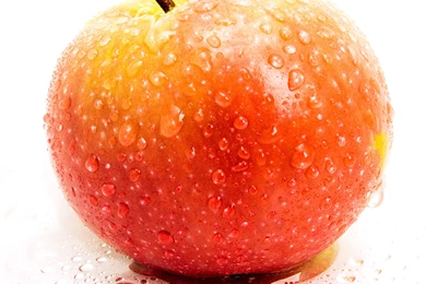 Fresh Apple Fruits Wallpapers