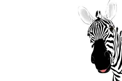 Whats, Up, Zebra, Classic Paints, Painting Wallpapers, Colors, Art ...