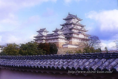 Japanese Temple Pictures