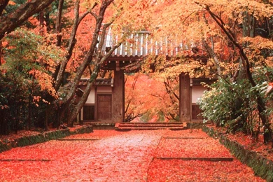 Japanese Architecture By Mnico On DeviantArt