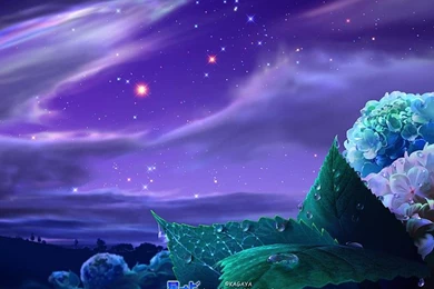 Viresanrans: Kagaya Wallpapers