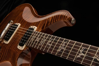PRS New For 2013