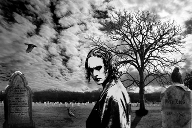 View Of The Crow Wallpapers : Hd Wallpapers