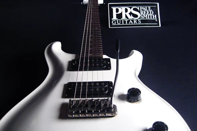 Paul Reed Smith, Extremists, WoodStone, Syracuse, Auburn, New York ...